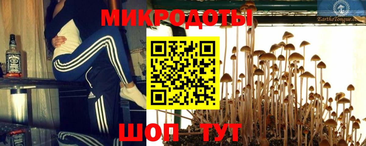 Псилоцибиновые грибы Psilocybe  Вход с VPN  Нягань  Псилоцибиновые грибы MAGIC MUSHROOMS 
